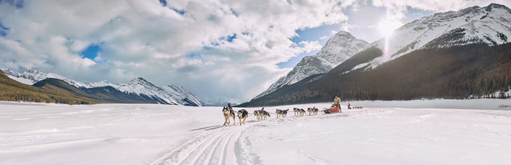 Dog Sledding – Travel Alberta C&B Advertising