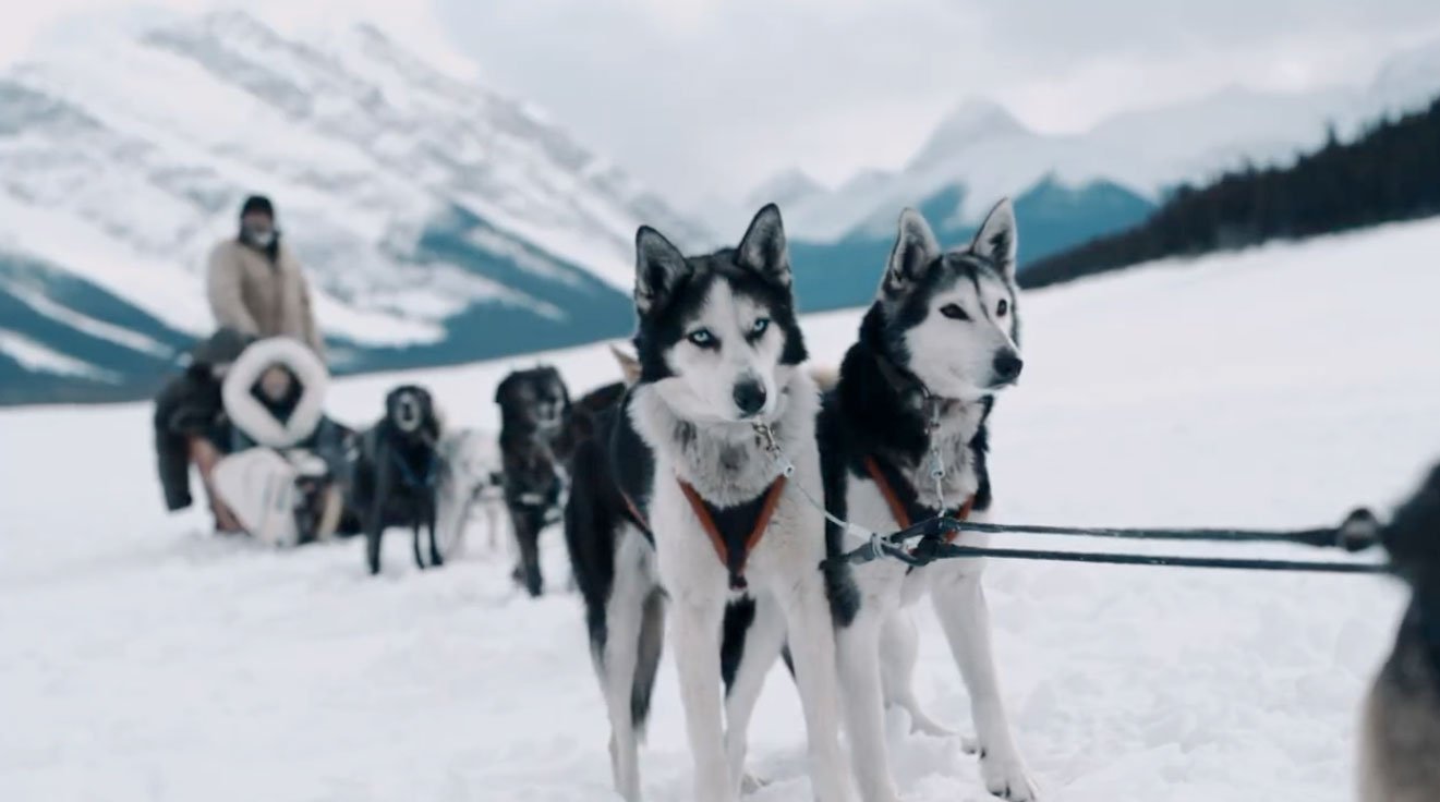 Dog Sledding – Travel Alberta C&B Advertising Hubert Kang