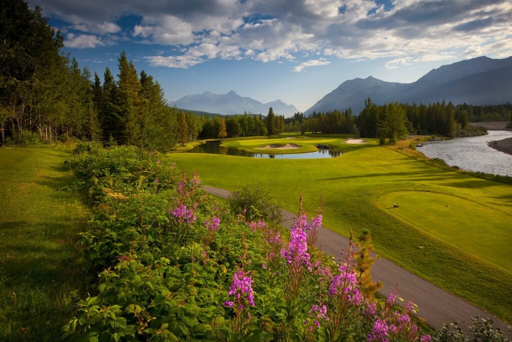 Kananaskis Golf Course Wildflowers – Robert Berdan
