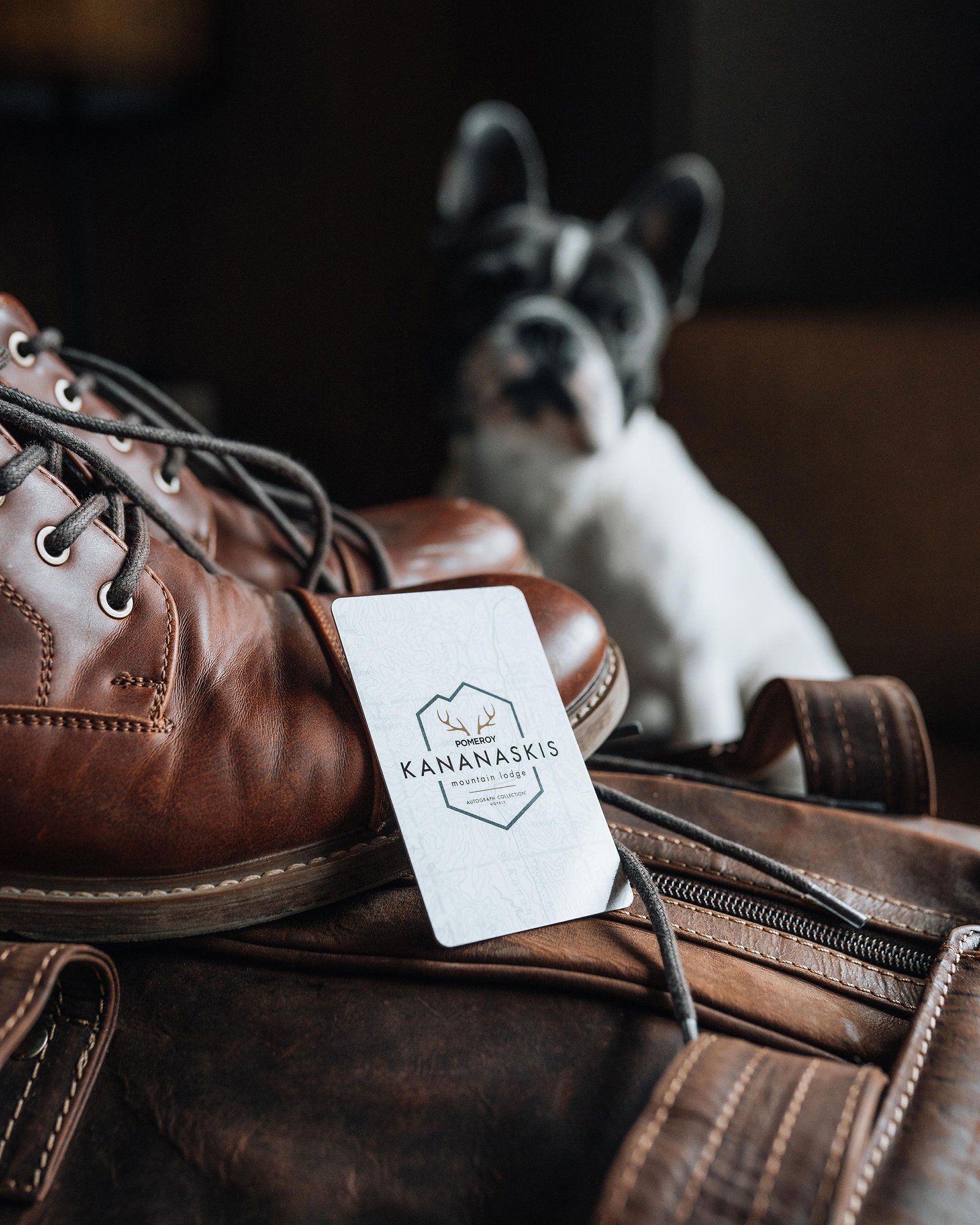 PKML Pet Friendly 1 – Brayden @lostcoordinate.