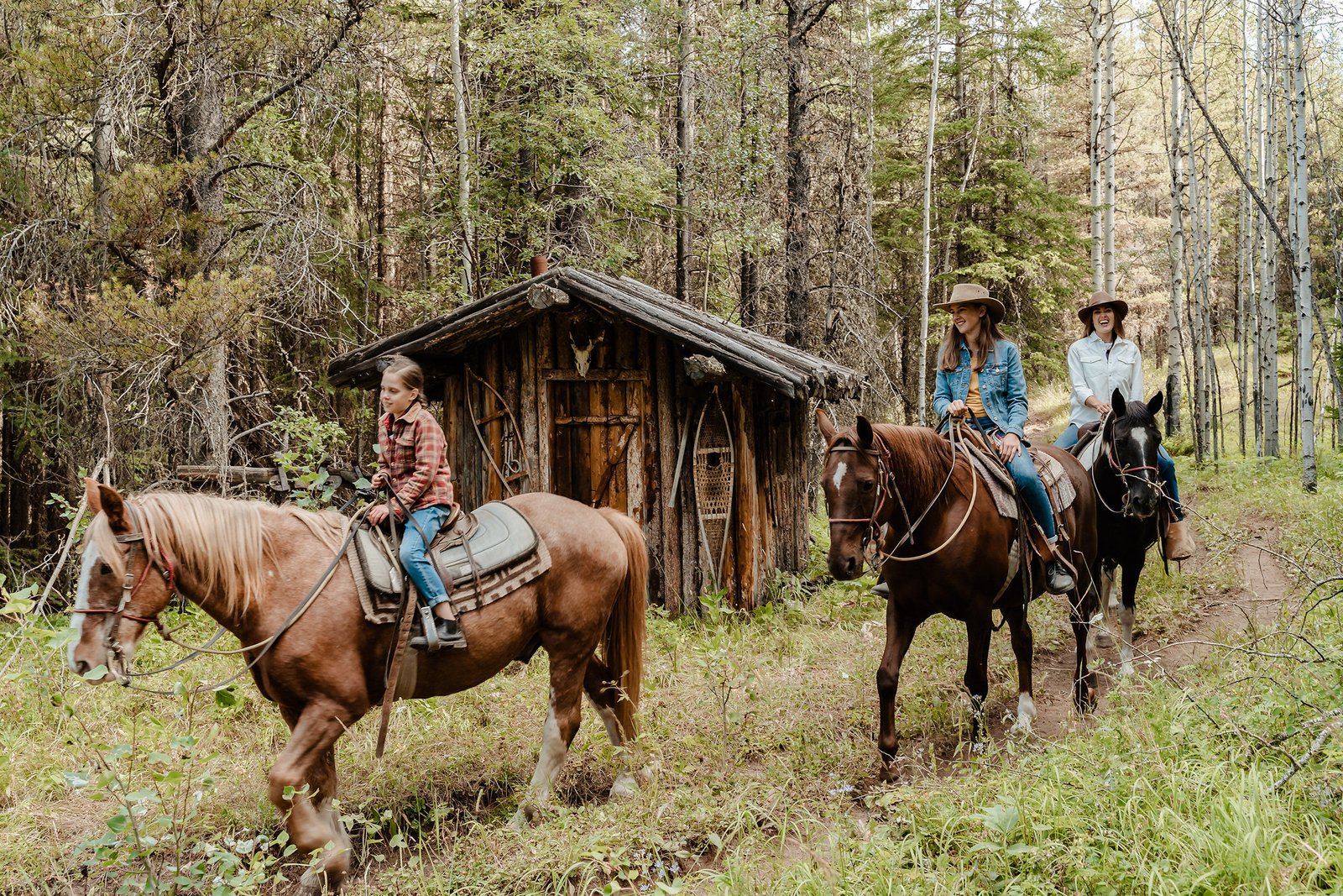Rustic Horse Ride Boundary Ranch – Travel Alberta Karl Lee