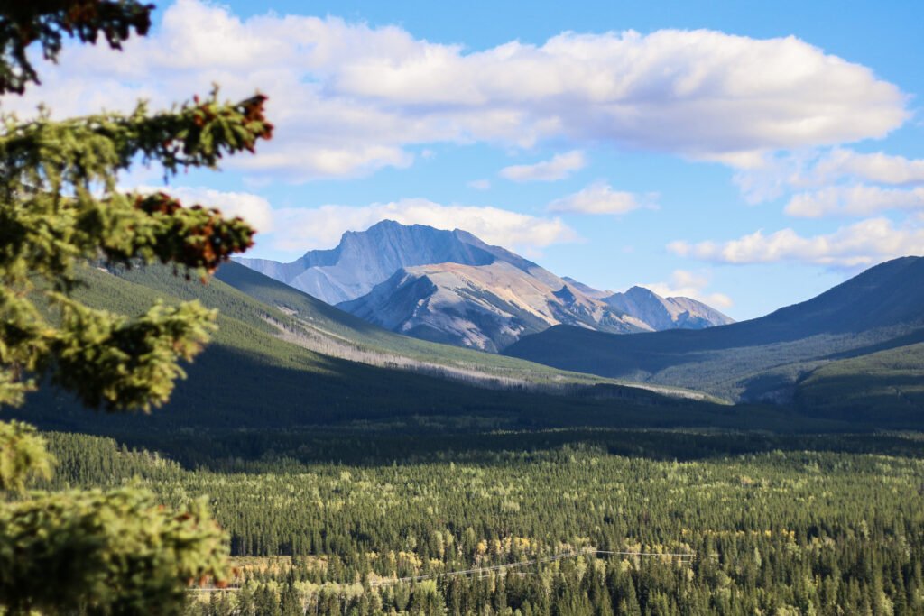 Summer Mountain Lanscape – Sydney Morin