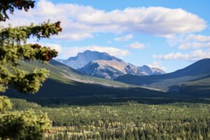 Summer Mountain Lanscape – Sydney Morin