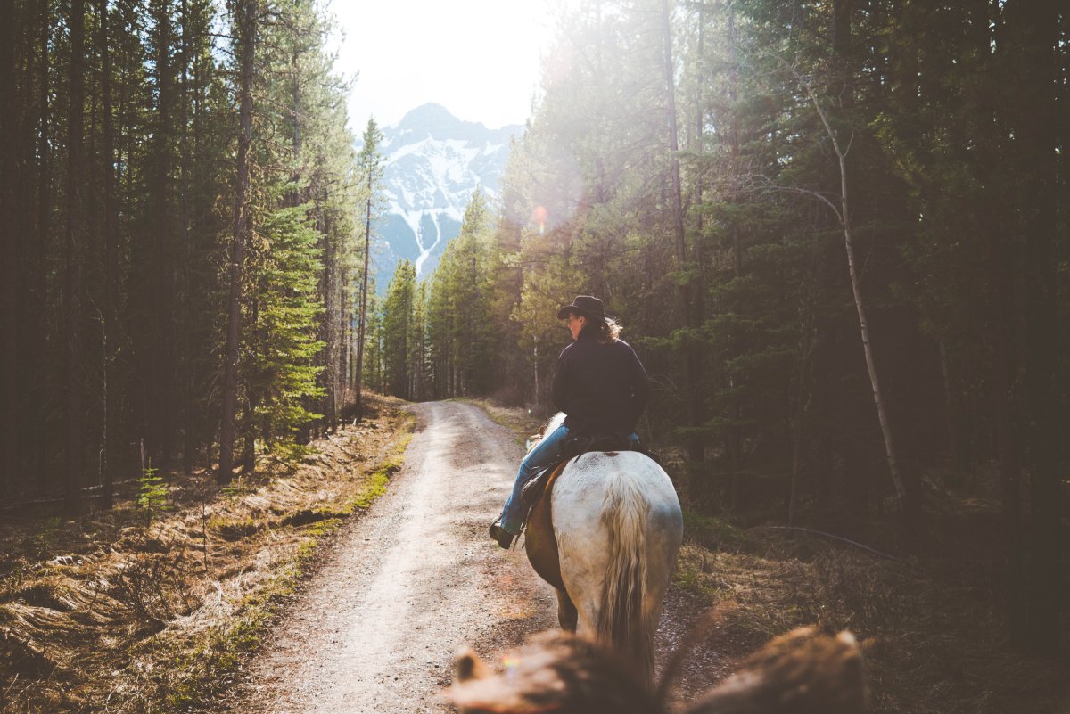 Trail Ride Boundary Ranch – Celestine Aerden @celestineaerden
